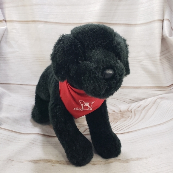 Douglas Brewster Black Lab Dog Plush Stuffed Toy America's VetDogs 10 Inch 2015 - Picture 13 of 13